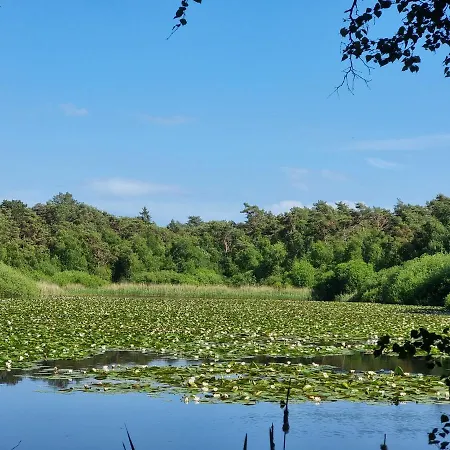 Frische Brise *